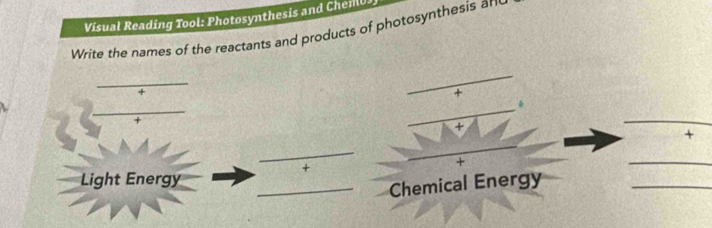 Visual Reading Tool: Photosynthesis and ChenlU 
Write the names of the reactants and products of photosynthesis and 
_ 
+ 
+ 
. 
+ 
+ 
_ 
+ 
_ 
+ 
+ 
_ 
Light Energy 
_Chemical Energy 
_