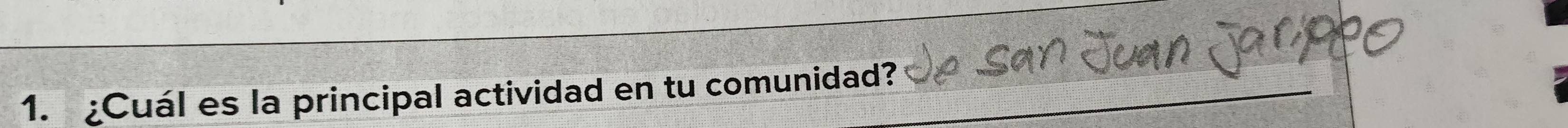 ¿Cuál es la principal actividad en tu comunidad?