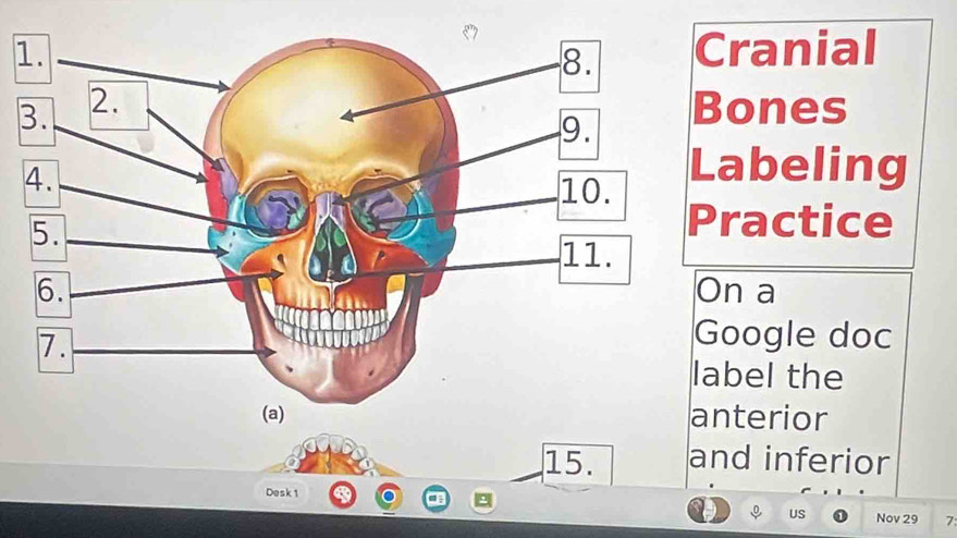 1ranial 
ones 
abeling 
ractice 
n a 
oogle doc 
bel the 
nterior 
15. and inferior 
Desk 1 
US Nov 29 7