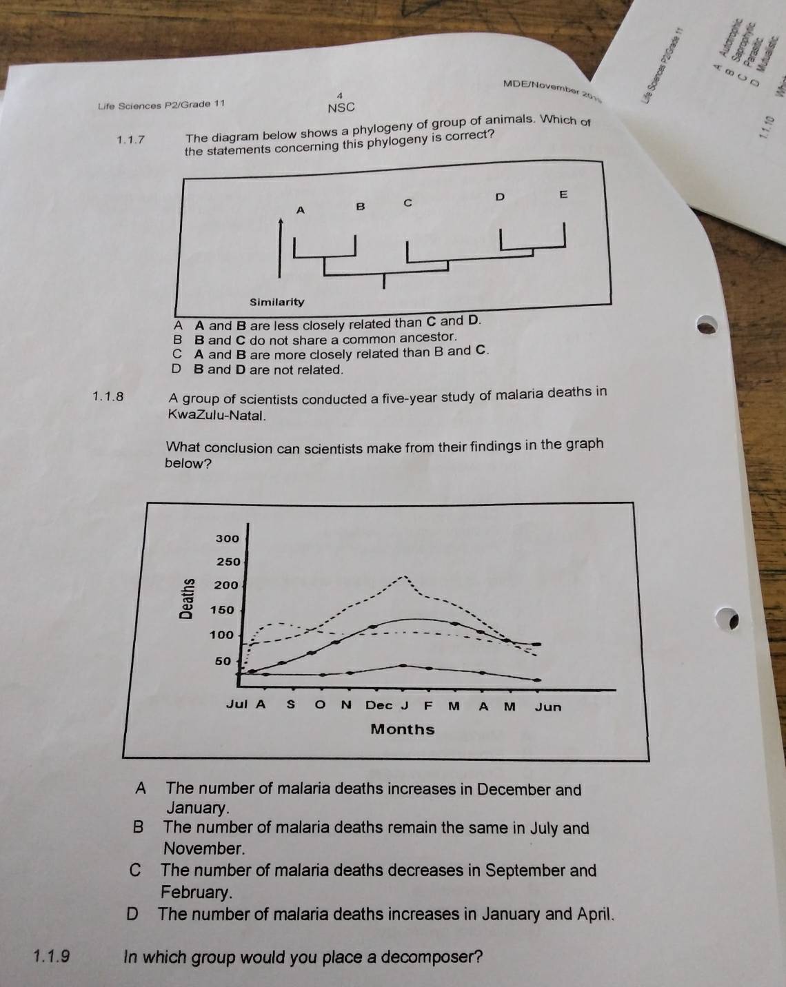 MDE/November 201
Life Sciences P2/Grade 11
NSC
1.1.7 The diagram below shows a phylogeny of group of animals. Which of
the statements concerning this phylogeny is correct? 。
A A and B are less closely related than C and D.
B B and C do not share a common ancestor.
C A and B are more closely related than B and C.
D B and D are not related.
1.1.8 A group of scientists conducted a five-year study of malaria deaths in
KwaZulu-Natal.
What conclusion can scientists make from their findings in the graph
below?
A The number of malaria deaths increases in December and
January.
B The number of malaria deaths remain the same in July and
November.
C The number of malaria deaths decreases in September and
February.
D The number of malaria deaths increases in January and April.
1.1.9 In which group would you place a decomposer?