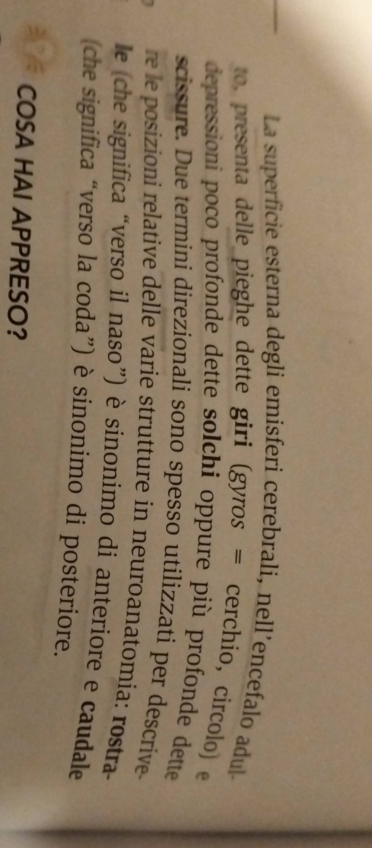 La superficie esterna degli emisferi cerebrali, nell’encefalo adul- 
to, presenta delle pieghe dette giri (gyros = cerchio, circolo) e 
depressioni poco profonde dette solchi oppure più profonde dette 
scissure. Due termini direzionali sono spesso utilizzati per descrive 
re le posizioni relative delle varie strutture in neuroanatomia: rostra- 
le (che significa “verso il naso”) è sinonimo di anteriore e caudale 
(che significa “verso la coda”) è sinonimo di posteriore. 
COSA HAI APPRESO?