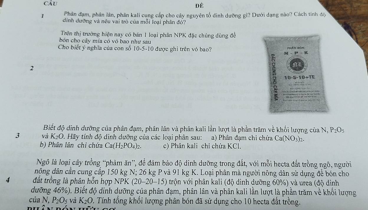 CâU
ĐÉ
1 Phân đạm, phân lân, phân kali cung cấp cho cây nguyên tố dinh dưỡng gì? Dưới dạng nào? Cách tính độ
dinh dưỡng và nêu vai trò của mỗi loại phân đó?
Trên thị trường hiện nay có bán 1 loại phân NPK đặc chủng dùng để
bón cho cây mía có vỏ bao như sau
Cho biết ý nghĩa của con số 10-5-10 được ghi trên vỏ bao? 
2
Biết độ dinh dưỡng của phân đạm, phân lân và phân kali lần lượt là phần trăm về khối lượng của N, P_2O_5
3 và K_2O 0  Hãy tính độ dinh dưỡng của các loại phân sau: a) Phân đạm chỉ chứa Ca(NO_3)_2.
b) Phân lân chỉ chứa Ca(H_2PO_4)_2. c) Phân kali chỉ chứa KCl.
Ngô là loại cây trồng “phàm ăn”, để đảm bảo độ dinh dưỡng trong đất, với mỗi hecta đất trồng ngô, người
dông dân cần cung cấp 150 kg N; 26 kg P và 91 kg K. Loại phân mà người nông dân sử dụng để bón cho
4  đất trồng là phân hỗn hợp NPK ( (20-20-15) * trộn với phân kali (độ dinh dưỡng 60%) và urea (độ dinh
dưỡng 46%). Biết độ dinh dưỡng của phân đạm, phân lân và phân kali lần lượt là phần trăm về khối lượng
của N, P_2O_5 và K_2O 2. Tính tổng khối lượng phân bón đã sử dụng cho 10 hecta đất trồng.
duân dón