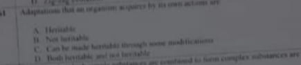 Aapsations this an organim acquires by ais own actims are
A Uenuble
- Nos heritáble
C. Can he made hervadls through sooe mosditicaons
D. Both heuabic and not berdable
= me contined to form comples subutances are