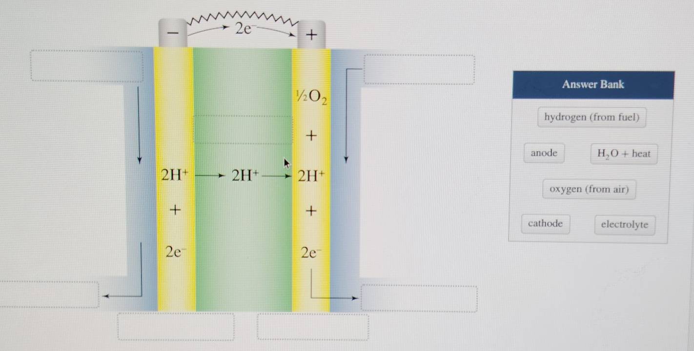 2e + 
Answer Bank
1/2O_2
hydrogen (from fuel) 
+ 
anode H_2O+heat
2H^+ 2H^+ 2H^+
oxygen (from air) 
+ 
+ 
cathode electrolyte 
2e
2e^-