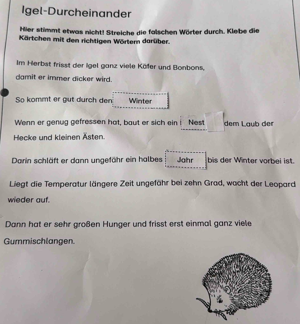 Igel-Durcheinander 
Hier stimmt etwas nicht! Streiche die falschen Wörter durch. Klebe die 
Kärtchen mit den richtigen Wörtern darüber. 
Im Herbst frisst der Igel ganz viele Käfer und Bonbons, 
damit er immer dicker wird. 
So kommt er gut durch den? Winter 
Wenn er genug gefressen hat, baut er sich ein Nest dem Laub der 
Hecke und kleinen Ästen. 
Darin schläft er dann ungefähr ein halbes Jahr bis der Winter vorbei ist. 
Liegt die Temperatur längere Zeit ungefähr bei zehn Grad, wacht der Leopard 
wieder auf. 
Dann hat er sehr großen Hunger und frisst erst einmal ganz viele 
Gummischlangen.