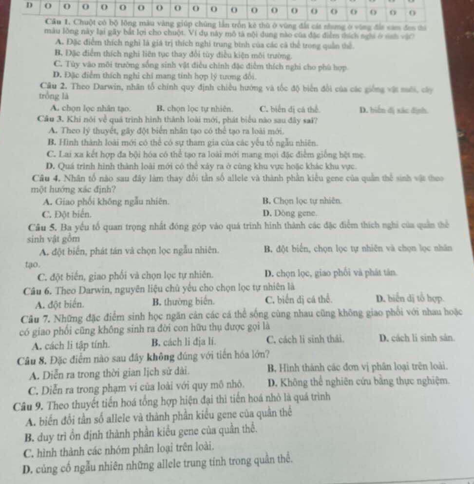 át nhang ở vòng đấi sam đao thi
màu lồng này lại gãy bắt lợi cho chuột. Ví dụ này mô tả nội dung nào của đặc điểm thích nghi ở nnh vật
A. Đặc điểm thích nghi là giá trị thích nghi trung bình của các cã thể trong quân thể.
B. Đặc điểm thích nghi liên tục thay đổi tùy điều kiện môi trường.
C. Tùy vào môi trường sống sinh vật điều chính đặc điễm thích nghi cho phù hợp
D. Đặc điểm thích nghỉ chỉ mang tính hợp lý tương đổi.
Câu 2. Theo Darwin, nhân tổ chính quy định chiều hướng và tốc độ biển đổi của các giống vật muôi, cây
trồng là
A. chọn lọc nhân tạo. B. chọn lọc tự nhiên. C. biến dị cá thể. D. biển dị xác định.
Câu 3. Khi nói về quá trình hình thành loài mới, phát biểu nào sau đây sai?
A. Theo lý thuyết, gây đột biển nhân tạo có thể tạo ra loài mới.
B. Hình thành loài mới có thể có sự tham gia của các yếu tổ ngẫu nhiên.
C. Lai xa kết hợp đa bội hóa có thể tạo ra loài mới mang mọi đặc điểm giống hệt mẹ.
D. Quá trình hình thành loài mới có thể xây ra ở cùng khu vực hoặc khác khu vực.
Câu 4. Nhân tổ nào sau đây làm thay đổi tần số allele và thành phần kiểu gene của quần thể sinh vật theo
một hướng xác định?
A. Giao phối không ngẫu nhiên. B. Chọn lọc tự nhiên.
C. Đột biển. D. Dòng gene.
Câu 5. Ba yếu tổ quan trọng nhất đóng góp vào quá trình hình thành các đặc điểm thích nghi của quân thể
sinh vật gồm
A. đột biển, phát tán và chọn lọc ngẫu nhiên. B. đột biến, chọn lọc tự nhiên và chọn lọc nhân
tạo.
C. đột biến, giao phối và chọn lọc tự nhiên. D. chọn lọc, giao phối và phát tân
Câu 6. Theo Darwin, nguyên liệu chủ yếu cho chọn lọc tự nhiên là
A. đột biến. B. thường biến. C. biển đị cá thể. D. biển dị tổ hợp.
Câu 7. Những đặc điểm sinh học ngăn cản các cá thể sống cùng nhau cũng không giao phối với nhau hoặc
có giao phối cũng không sinh ra đời con hữu thụ được gọi là
A. cách li tập tính. B. cách li địa lí. C. cách li sinh thái. D. cách li sinh sản.
Câu 8. Đặc điểm nào sau đây không đúng với tiến hóa lớn?
A. Diễn ra trong thời gian lịch sử dài. B, Hình thành các đơn vị phân loại trên loài.
C. Diễn ra trong phạm vi của loài với quy mô nhỏ. D. Không thể nghiên cứu bằng thực nghiệm.
Câu 9. Theo thuyết tiến hoá tổng hợp hiện đại thì tiến hoá nhỏ là quá trình
A. biến đổi tần số allele và thành phần kiểu gene của quần thể
B. duy trì ồn định thành phần kiểu gene của quần thể.
C. hình thành các nhóm phân loại trên loài.
D. củng cố ngẫu nhiên những allele trung tính trong quần thể.