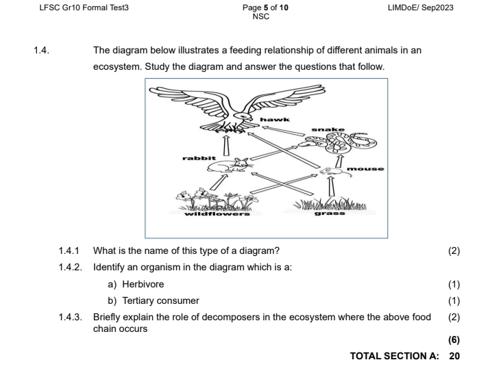 LFSC Gr10 Formal Test3 Page 5 of 10 LIMDoE/ Sep2023 
NSC 
1.4. The diagram below illustrates a feeding relationship of different animals in an 
ecosystem. Study the diagram and answer the questions that follow. 
1.4.1 What is the name of this type of a diagram? (2) 
1.4.2. Identify an organism in the diagram which is a: 
a) Herbivore (1) 
b) Tertiary consumer (1) 
1.4.3. Briefly explain the role of decomposers in the ecosystem where the above food (2) 
chain occurs 
(6) 
TOTAL SECTION A: 20