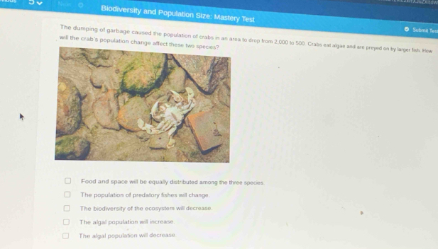 Biodiversity and Population Size: Mastery Test Subma les
The dumping of garbage caused the population of crabs in an area to drop from 2,000 to 500. Crabs eat algae and are preyed on by larger fish. How
will the crab's population change affe
Food and space will be equally distributed among the three species
The population of predatory fishes will change.
The biodiversity of the ecosystem will decrease.
The algal population will increase.
The algal population will decrease.