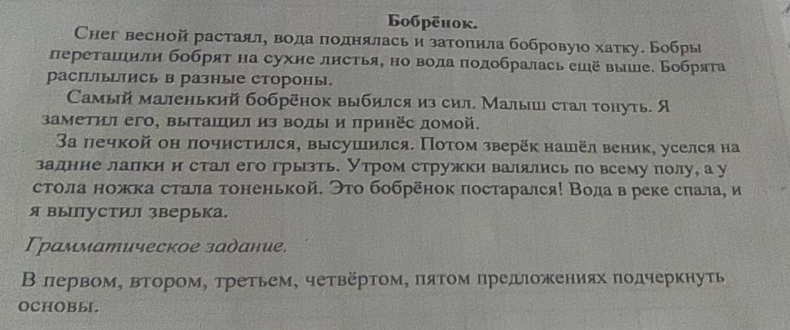 Бoбрёhок.
Chег весной растаяле вода πоднялась и затолила бобровуюо хатку. Бобры
перетаιηнлη бобрят на сухие лнстья, но вола πодобралась ешё вые. Бобряτа
распшылись в разные стороны.
Самый маленький бобрёнок выбился из сил. Малыш стал тонуть. Я
заметил его, вытаΙцил из Βоды и πринёс домой.
3а печкой он почистился, высушился. Потом зверёк нашёл веник, уселся на
задние лалки н стал его грызть. Утром стружки валялись по всему πолу, а у
стола ножка стала тоненькой. Эτо бобрёнок πостарался! Водав реке сπала, и
я выпустил зверька.
рамматическое задание,
В πервом, втором, третьем, четвертом, πятом πредπожениях πодчеркнуть
OCHOBL.