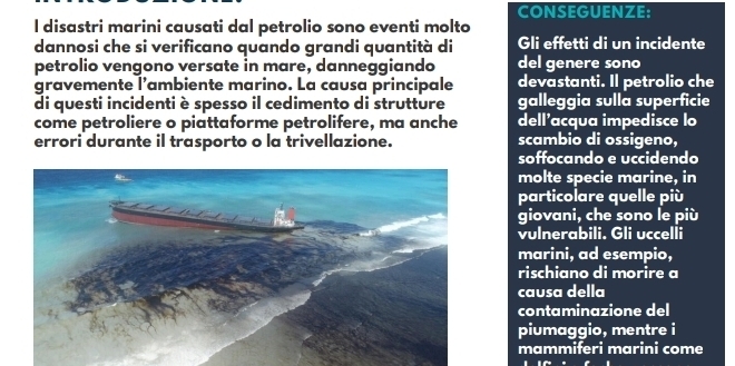 CONSEGUENZE: 
l disastri marini causati dal petrolio sono eventi molto 
dannosi che si verificano quando grandi quantità di Gli effetti di un incidente 
petrolio vengono versate in mare, danneggiando del genere sono 
gravemente l’ambiente marino. La causa principale devastanti. Il petrolio che 
di questi incidenti è spesso il cedimento di strutture galleggia sulla superficie 
come petroliere o piattaforme petrolifere, ma anche dell’acqua impedisce lo 
errori durante il trasporto o la trivellazione. scambio di ossigeno, 
soffocando e uccidendo 
molte specie marine, in 
particolare quelle più 
giovani, che sono le più 
vulnerabili. Gli uccelli 
marini, ad esempio, 
rischiano di morire a 
causa della 
contaminazione del 
piumaggio, mentre i 
mammiferi marini come