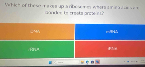 Which of these makes up a ribosomes where amino acids are 
bonded to create proteins? 
Q Search