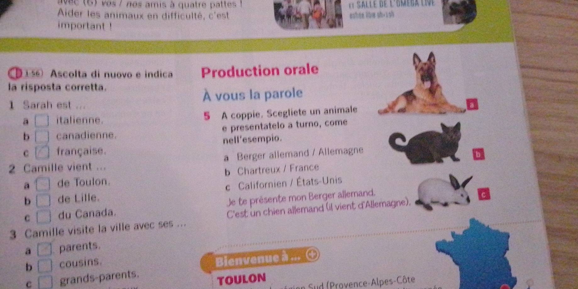 avec (6) ves / nes amis à quatre patles !
Ader les animaux en difficulté, c'est entise lible sh-1sh
important !
D 15 Ascolta di nuovo e indica Production orale
la risposta corretta.
À vous la parole
1 Sarah est ...
a □ italienne. 5 A coppie. Scegliete un animale
b □ canadienne. e presentatelo a turno, come
nell'esempio.
C □ française.
2 Camille vient ... a Berger allemand / Allemagne
a □ de Toulon. b Chartreux / France
b □ de Lille. c Californien / États-Unis
C □ du Canada. Je te présente mon Berger allemand.
C'est un chien allemand (il vient d'Allemagne),
3 Camille visite la ville avec ses ...
a □ parents.
b □ cousins.
Bienvenue à ... ④
c □ grands-parents.
TOULON
Sud (Provence-Alpes-Côte