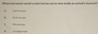 What instrument would a veterinarian use to view inside an animal's stomach?
A. Gastroscope
B. Arthroscope
C. Microscape
D. Laryngoscope