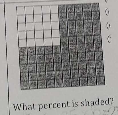 What percent is shaded?