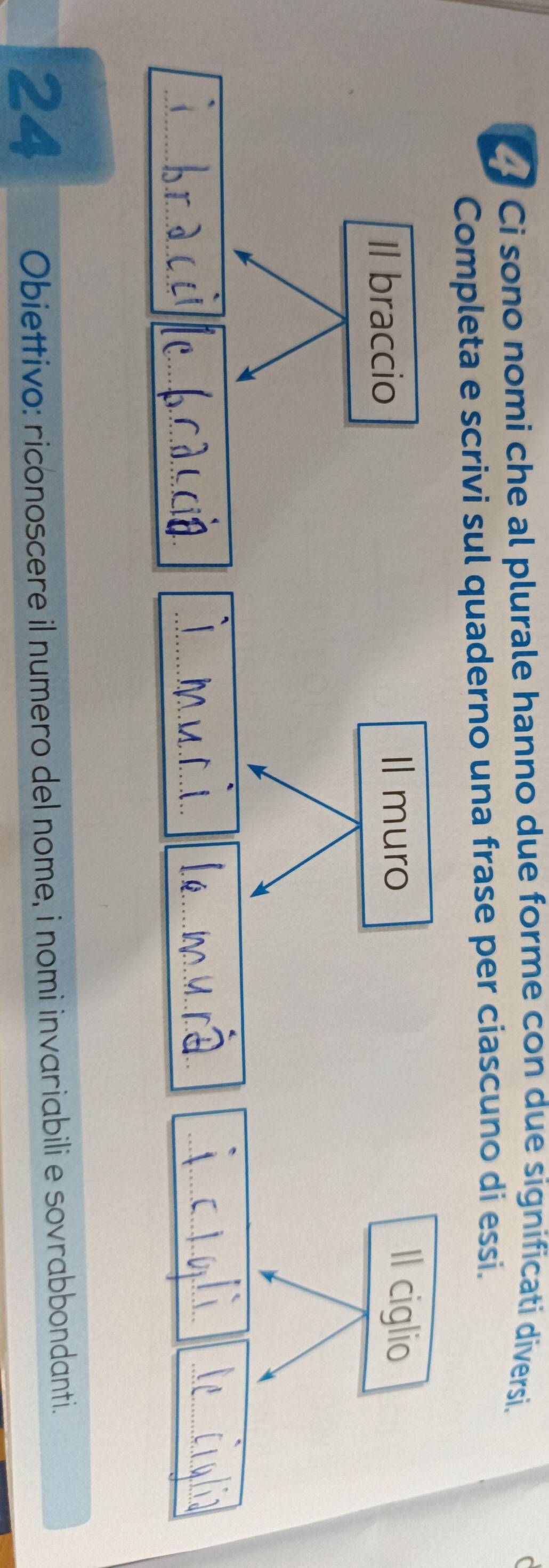 Ci sono nomi che al plurale hanno due forme con due significati diversi. 
Completa e scrivi sul quaderno una frase per ciascuno di essi. 
Il braccio 
Il muro Il ciglio 
_ 
_ 
_ 
_ 
_ 
_ 
24 Obiettivo: riconoscere il numero del nome, i nomi invariabili e sovrabbondanti.