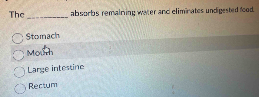 The _absorbs remaining water and eliminates undigested food.
Stomach
Mouth
Large intestine
Rectum