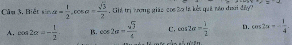 Biết sin alpha = 1/2 , cos alpha = sqrt(3)/2 . Giá trị lượng giác cos 2alpha là kết quả nào dưới đây?
A. cos 2alpha =- 1/2 . B. cos 2alpha = sqrt(3)/4  C. cos 2alpha = 1/2 . D. cos 2alpha =- 1/4 . 
ột cần số nhân