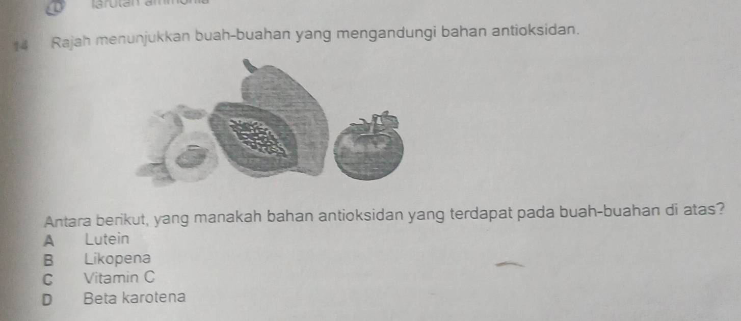 Rajah menunjukkan buah-buahan yang mengandungi bahan antioksidan.
Antara berikut, yang manakah bahan antioksidan yang terdapat pada buah-buahan di atas?
A Lutein
B Likopena
C Vitamin C
D Beta karotena