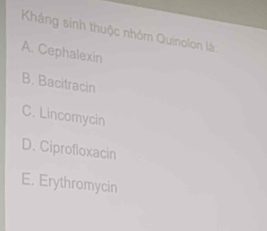 Kháng sinh thuộc nhóm Quinolon là:
A. Cephalexin
B. Bacitracin
C. Lincomycin
D. Ciprofloxacin
E. Erythromycin