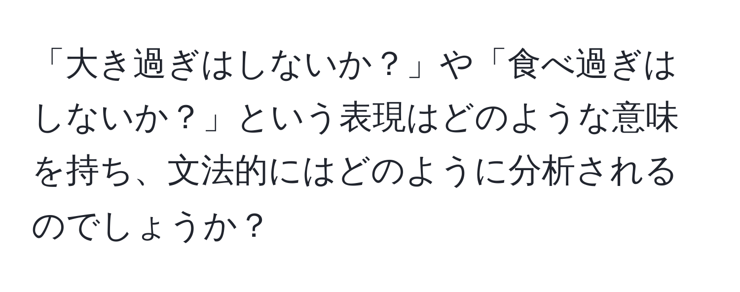 「大き過ぎはしないか？」や「食べ過ぎはしないか？」という表現はどのような意味を持ち、文法的にはどのように分析されるのでしょうか？