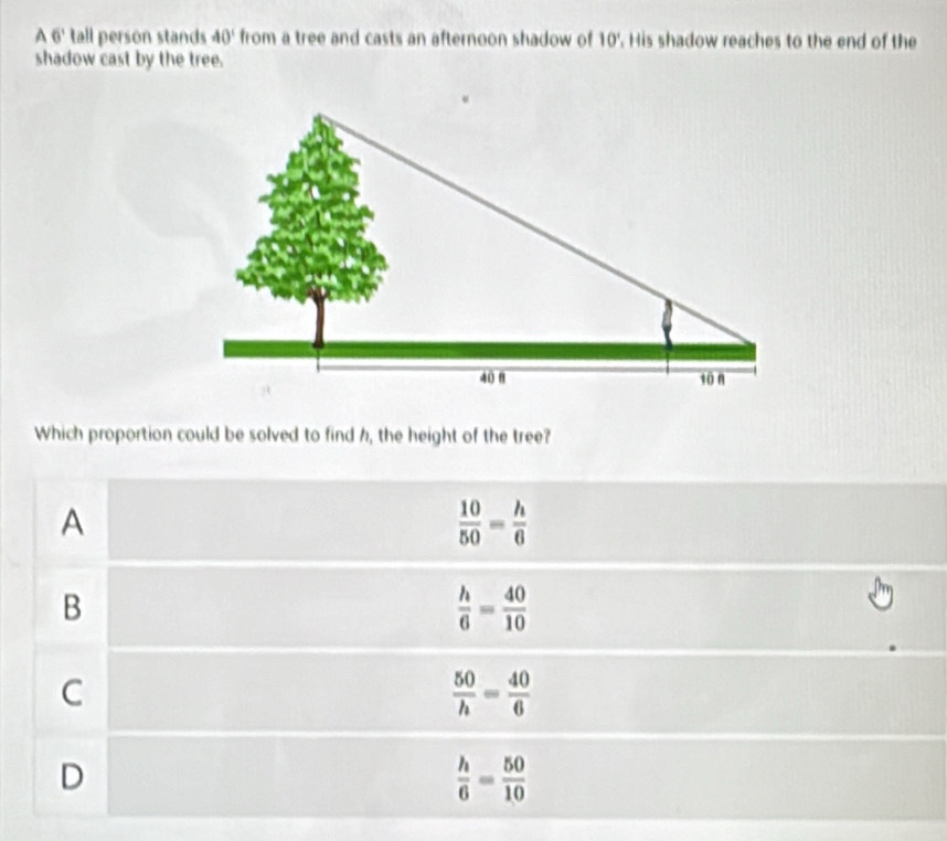 Solved: A 6' tall person stands 40° from a tree and casts an afternoon ...