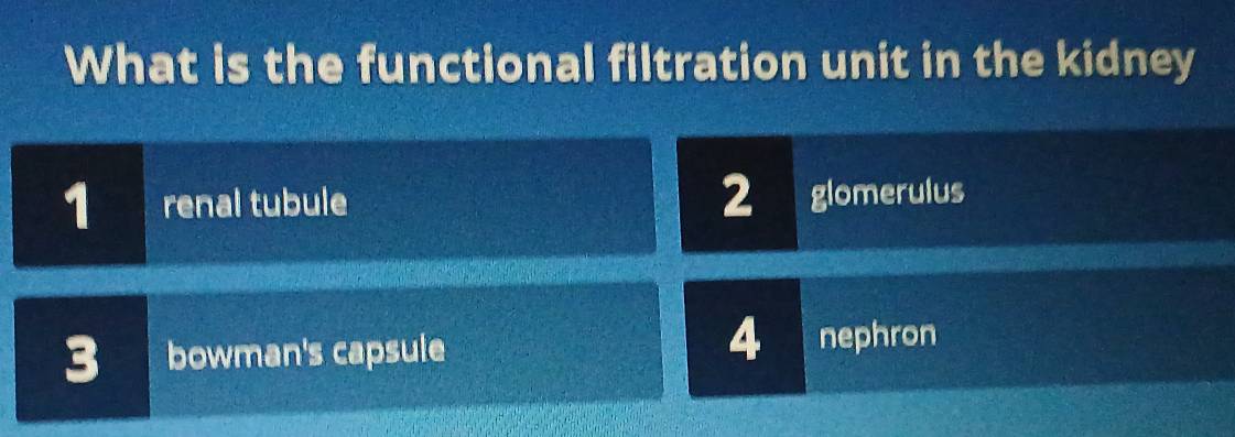 What is the functional filtration unit in the kidney
1 renal tubule 2 glomerulus
4
3 bowman's capsule nephron