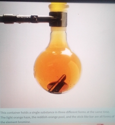 This container holds a single substance in three different forms at the same time. 
The light orange haze, the reddish-orange pool, and the stick-like bar are all forms of 
the element bromine.