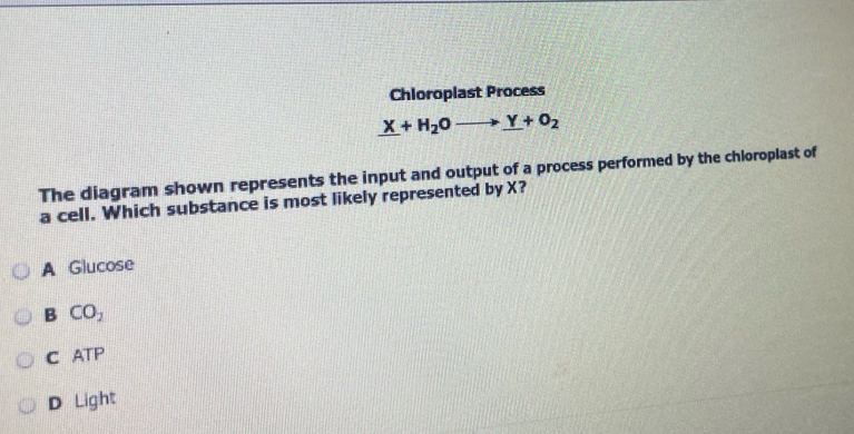 Chloroplast Process
_ X+H_2Oto _ Y+O_2
The diagram shown represents the input and output of a process performed by the chloroplast of
a cell. Which substance is most likely represented by X?
A Glucose
B CO_2
C ATF
D Light