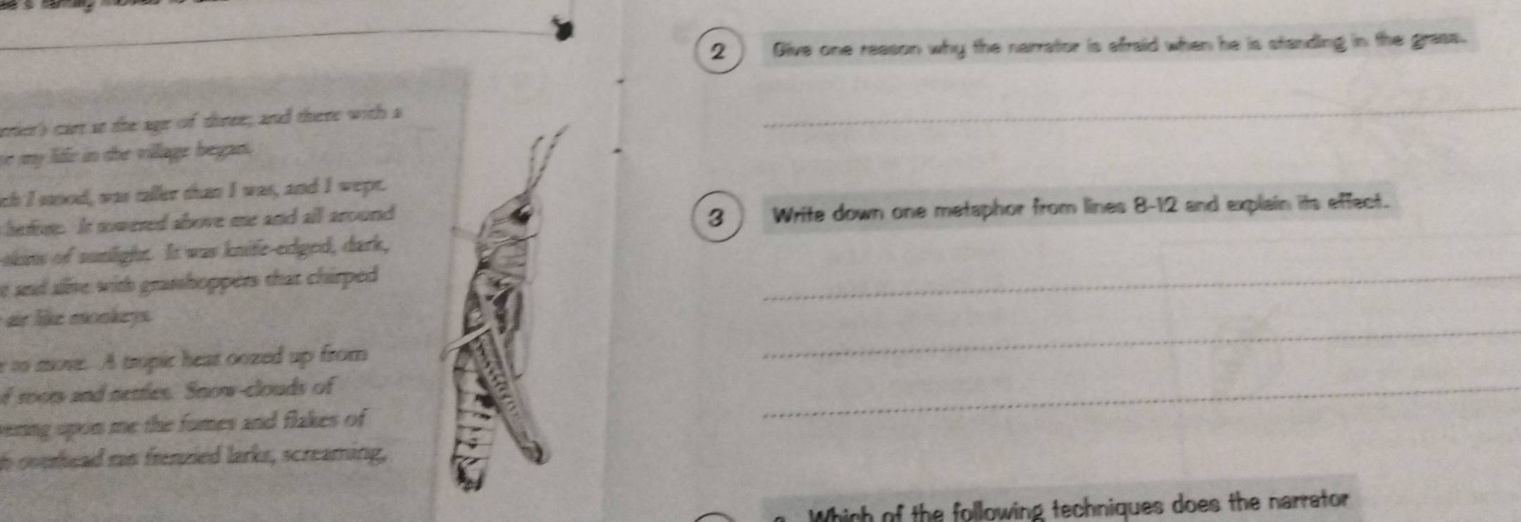 2 ) Give one reason why the narratior is afraid when he is standing in the grass. 
rrier) cart at the age of three; and there with a 
_ 
se my lide in the village began. 
ch I sood, was taller than I was, and I wept. 
herore. Is sowered above me and all around 3 ) Write down one metaphor from lines 8-12 and explain its effect. 
_ 
skins of sunlight. It was knife-edged, dark, 
e and alive with grasshoppers that chirped 
_ 
ar like monkeys. 
r ts move. A tropic hear oozed up from 
f room and nettes. Snow-clouds of 
sering upon me the fumes and flakes of 
_ 
n overhead ran frenzied larks, screaming, 
Which of the following techniques does the narrator