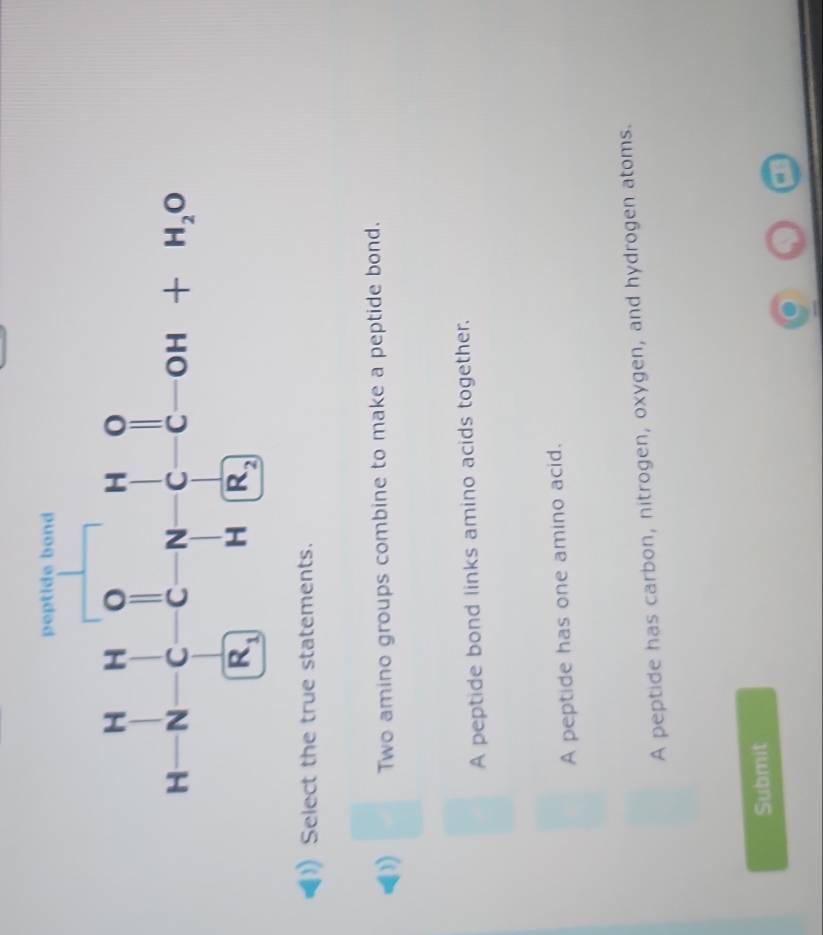 Select the true statements.
D Two amino groups combine to make a peptide bond.
A peptide bond links amino acids together.
A peptide has one amino acid.
A peptide has carbon, nitrogen, oxygen, and hydrogen atoms.
Submit
a