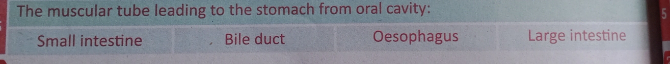 The muscular tube leading to the stomach from oral cavity:
5
Small intestine Bile duct Oesophagus Large intestine