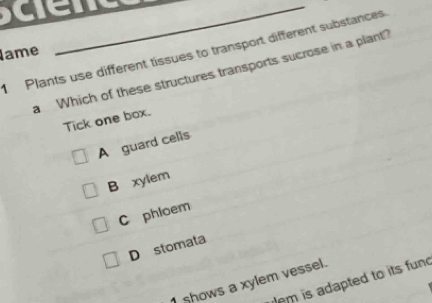 Plants use different tissues to transport different substances
lame
_
a Which of these structures transports sucrose in a plant?
Tick one box.
A guard cells
B xylem
C phloem
D stomata
em is adapted to its fun
1 shows a xylem vessel.