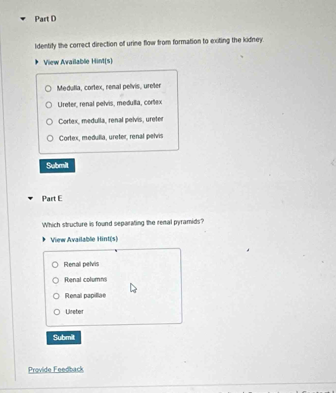 Identify the correct direction of urine flow from formation to exiting the kidney.
View Available Hint(s)
Medulla, cortex, renal pelvis, ureter
Ureter, renal pelvis, medulla, cortex
Cortex, medulla, renal pelvis, ureter
Cortex, medulla, ureter, renal pelvis
Submit
Part E
Which structure is found separating the renal pyramids?
View Available Hint(s)
Renal pelvis
Renal columns
Renal papillae
Ureter
Submit
Provide Feedback