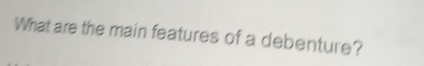 What are the main features of a debenture?