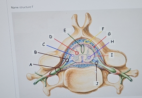 Name structure F