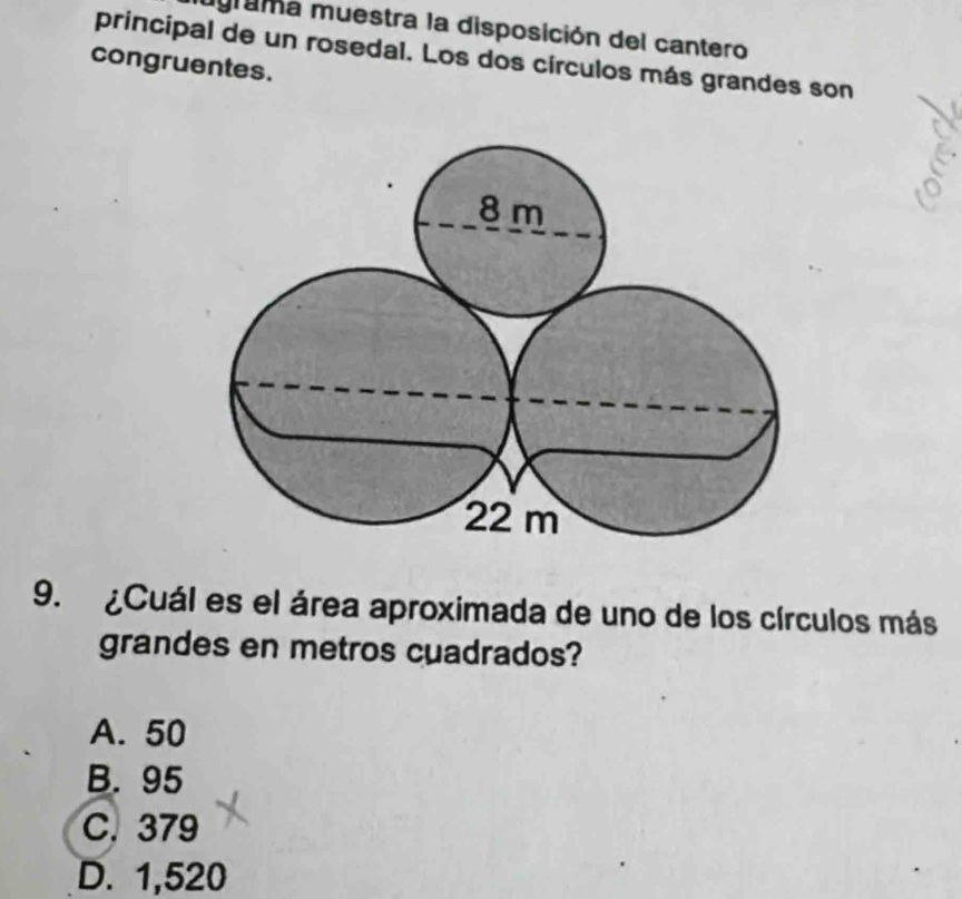 mama muestra la disposición del cantero
principal de un rosedal. Los dos círculos más grandes son
congruentes.
9. ¿Cuál es el área aproximada de uno de los círculos más
grandes en metros cuadrados?
A. 50
B. 95
C. 379
D. 1,520