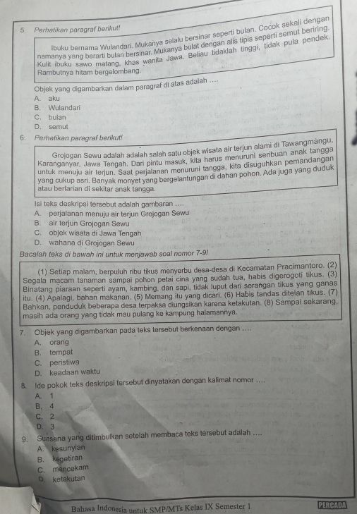 Perhatikan paragraf berikut!
Ibuku bernama Wulandari, Mukanya selalu bersinar seperti bulan. Cocok sekali dengar
namanya yang berarti bulan bersinar. Mukanya bulat dengan alis tipis seperti semut beriring
Kulit ibuku sawo matang, khas wanita Jawa. Beliau tidaklah tinggl, tidak pula pendek
Rambutnya hitam bergelombang.
Objek yang digambarkan dalam paragraf di atas adalah ....
A. aku
B. Wulandari
C. bulan
D. semut
6. Perhatikan paragraf berikut!
Grojogan Sewu adalah adalah salah satu objek wisata air terjun alami di Tawangmangu,
Karanganyar, Jawa Tengah. Dari pintu masuk, kita harus menuruni seribuan anak tangga
untuk menuju air terjun. Saat perjalanan menuruni tangga, kita disuguhkan pemandangan
yang cukup asri. Banyak monyet yang bergelantungan di dahan pohon. Ada juga yang duduk
atau berlarian di sekitar anak tangga
Isi teks deskripsi tersebut adalah qambaran ...
A. perjalanan menuju air terjun Grojogan Sewu
B. air terjun Grojogan Sewu
C. objek wisata di Jawa Tengah
D. wahana di Grojogan Sewu
Bacalah teks di bawah ini untuk menjawab soal nomor 7-9!
(1) Setiap malam; berpuluh ribu tikus menyerbu desa-desa di Kecamatan Pracimantoro. (2)
Segala macam tanaman sampai pohon petai cina yang sudah tua, habis digerogoti tikus. (3)
Binatang piaraan seperti ayam, kambing, dan sapi, tidak luput dari serangan tikus yang ganas
itu. (4) Apalagi, bahan makanan. (5) Memang itu yang dicari. (6) Habis tandas ditelan tikus. (7)
Bahkan, penduduk beberapa desa terpaksa diungsikan karena ketakutan. (8) Sampai sekarang,
masih ada orang yang tidak mau pulang ke kampung halamannya.
7. Objek yang digambarkan pada teks tersebut berkenaan dengan ....
A. orang
B. tempat
C. peristiwa
D. keadaan waktu
8. Ide pokok teks deskripsi tersebut dinyatakan dengan kalimat nomor ….
A. 1
B. 4
C. 2
D. 3
9. Suasana yang ditimbulkan setelah membaca teks tersebut adalah ....
A. kesunyian
B. kegetiran
C. mencekam
D ketakutan
Bahasa Indonesia untuk SMP/MTs Kelas IX Semester 1 PERCADA