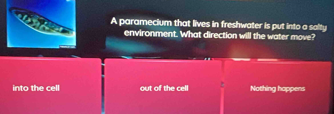 A paramecium that lives in freshwater is put into a salty
environment. What direction will the water move?
into the cell out of the cell Nothing happens