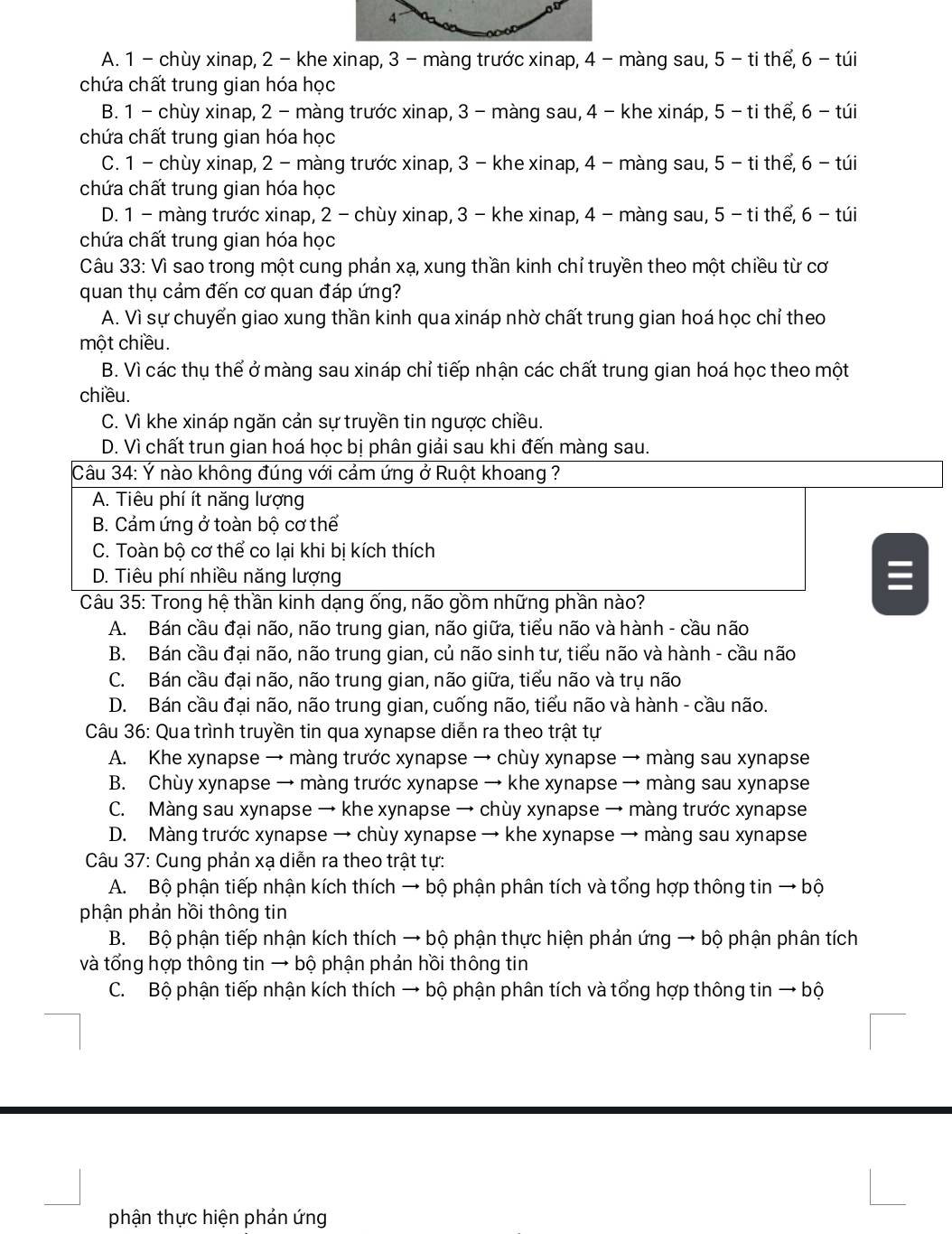 A. 1 - chùy xinap, 2 - khe xinap, 3 - màng trước xinap, 4 - màng sau, 5 - ti thể, 6 - túi
chứa chất trung gian hóa học
B. 1 - chùy xinap, 2 - màng trước xinap, 3 - màng sau, 4 - khe xináp, 5 - ti thể, 6 - túi
chứa chất trung gian hóa học
C. 1 - chùy xinap, 2 - màng trước xinap, 3 - khe xinap, 4 - màng sau, 5 - ti thế, 6 - túi
chứa chất trung gian hóa học
D. 1 - màng trước xinap, 2 - chùy xinap, 3 - khe xinap, 4 - màng sau, 5 - ti thể, 6 - túi
chứa chất trung gian hóa học
Câu 33: Vì sao trong một cung phản xạ, xung thần kinh chỉ truyền theo một chiều từ cơ
quan thụ cảm đến cơ quan đáp ứng?
A. Vì sự chuyển giao xung thần kinh qua xináp nhờ chất trung gian hoá học chỉ theo
một chiều.
B. Vì các thụ thể ở màng sau xináp chỉ tiếp nhận các chất trung gian hoá học theo một
chiều.
C. Vì khe xináp ngăn cản sự truyền tin ngược chiều.
D. Vì chất trun gian hoá học bị phân giải sau khi đến màng sau.
Câu 34: Ý nào không đúng với cảm ứng ở Ruột khoang ?
A. Tiêu phí ít năng lượng
B. Cảm ứng ở toàn bộ cơ thể
C. Toàn bộ cơ thể co lại khi bị kích thích
D. Tiêu phí nhiều năng lượng
Câu 35: Trong hệ thần kinh dạng ống, não gồm những phần nào?
A. Bán cầu đại não, não trung gian, não giữa, tiểu não và hành - cầu não
B. Bán cầu đại não, não trung gian, củ não sinh tư, tiểu não và hành - cầu não
C. Bán cầu đại não, não trung gian, não giữa, tiểu não và trụ não
D. Bán cầu đại não, não trung gian, cuống não, tiểu não và hành - cầu não.
Câu 36: Qua trình truyền tin qua xynapse diễn ra theo trật tự
A. Khe xynapse → màng trước xynapse → chùy xynapse → màng sau xynapse
B. Chùy xynapse → màng trước xynapse → khe xynapse → màng sau xynapse
C. Màng sau xynapse → khe xynapse → chùy xynapse → màng trước xynapse
D. Màng trước xynapse → chùy xynapse → khe xynapse → màng sau xynapse
Câu 37: Cung phản xạ diễn ra theo trật tự:
A. Bộ phận tiếp nhận kích thích → bộ phận phân tích và tổng hợp thông tin → bộ
phận phản hồi thông tin
B. Bộ phận tiếp nhận kích thích → bộ phận thực hiện phản ứng → bộ phận phân tích
và tổng hợp thông tin → bộ phận phản hồi thông tin
C. Bộ phận tiếp nhận kích thích → bộ phận phân tích và tổng hợp thông tin → bộ
phận thực hiện phản ứng