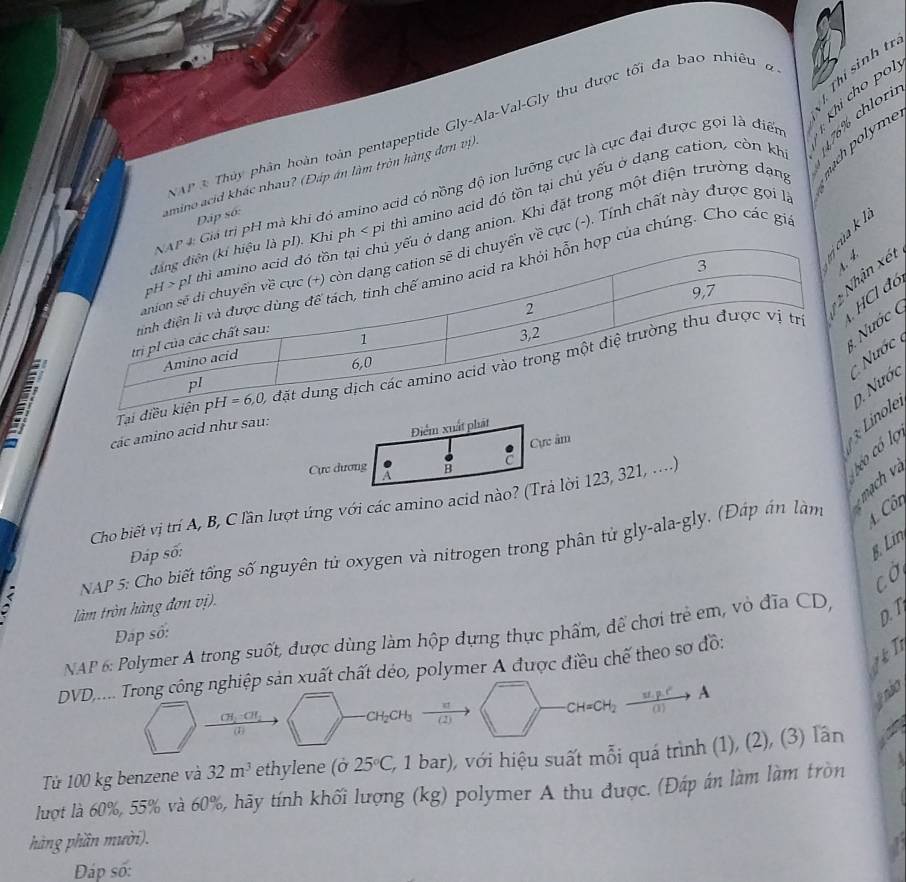 Thí sinh tí
Khi cho po
176% chlori
NAP& Thủy phân hoàn toàn pentapeptide Gly-Ala-Val-Gly thu được tối đa bao nhiêu đ
amino acid khác nhau? (Đáp án làm tròn hàng đơn vị)
Giả trị pH mà khi đó amino acid có nồng độ ion lưỡng cực là cực đại được gọi là điển
. Khi ph < pi thì amino acid đó tồn tại chủ yếu ở dạng cation, còn kh
Dập số:
ở dạng anion. Khi đặt trong một điện trường dạng
n về cực (-). Tính chất này được gọi l
p của chúng. Cho các gia
hận xét
Cl đó
Nước (
ước 
Tạai điều 
các amino acid như sau:
Điểm xuất phát
Cực âm
Linole 9. Nước
Cực dương 4 B C
eo có lọ
Cho biết vị trí A, B, C lần lượt ứng với các amino acid nào? (Trả lời 123, 321, ....)
4. Côn
NAP 5: Cho biết tổng số nguyên tử oxygen và nitrogen trong phân tử gly-ala-gly. (Đáp ấn làm - ạch à
Đáp số:
§. Lin
cời
làm tròn hàng đơn vị).
D. 1
Đap số:
NAP 6: Polymer A trong suốt, được dùng làm hộp dựng thực phẩm, để chơi trẻ em, vô đĩa CD,
   
DVD,.... Trong công nghiệp sản xuất chất déo, polymer A được điều chế theo sơ đồ:
 frac CH_3· CH_2
CH_2CH_3 (2)
CH=CH_2xrightarrow M.p.rA
pndo
. 
Từ 100 kg benzene và 32m^3 ethylene (ở 25°C, C, 1 bar), với hiệu suất mỗi quá trình (1), (2), (3) lần
luợt là 60%, 55% và 60%, hãy tính khối lượng (kg) polymer A thu được. (Đáp án làm làm tròn
hàng phần mười).
Đáp số: