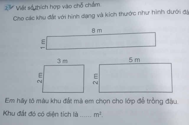 Viết số thích hợp vào chỗ chấm. 
Cho các khu đất với hình dạng và kích thước như hình dưới đã
8 m
ε 
Em hãy tô màu khu đất mà em chọn cho lớp để trồng đậu. 
Khu đất đó có diện tích là _ m^2.