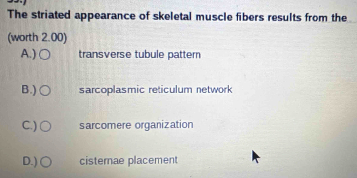 The striated appearance of skeletal muscle fibers results from the
(worth 2.00)
A.) transverse tubule pattern
B.) sarcoplasmic reticulum network
C.) sarcomere organization
D.) cisternae placement