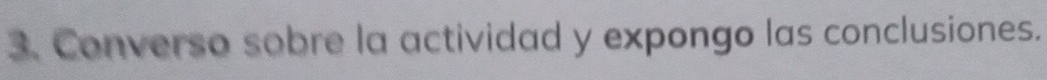 Converso sobre la actividad y expongo las conclusiones.
