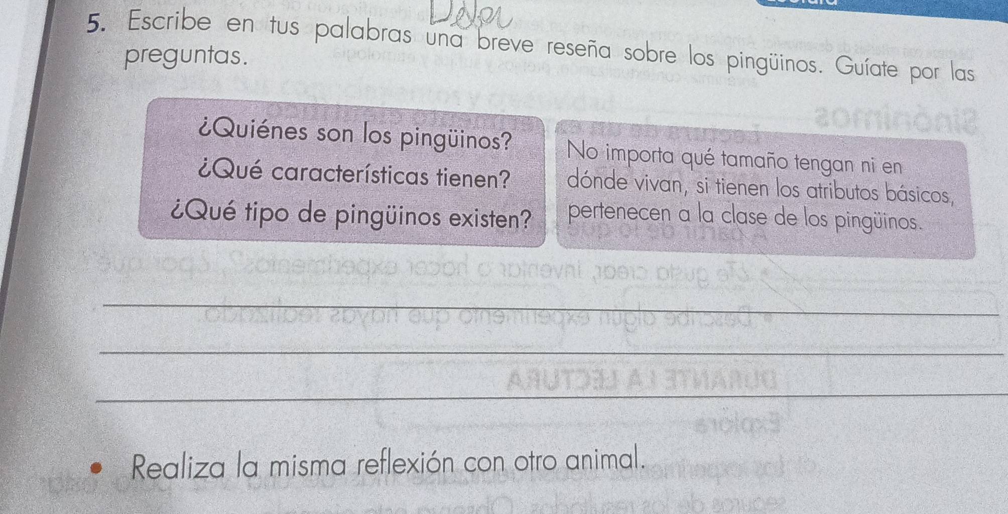 Escribe en tus palabras una breve reseña sobre los pingüinos. Guíate por las 
preguntas. 
¿Quiénes son los pingüinos? 
No importa qué tamaño tengan ni en 
¿Qué características tienen? dónde vivan, si tienen los atributos básicos, 
¿Qué tipo de pingüinos existen? pertenecen a la clase de los pingüinos. 
_ 
_ 
_ 
_ 
Realiza la misma reflexión con otro animal.