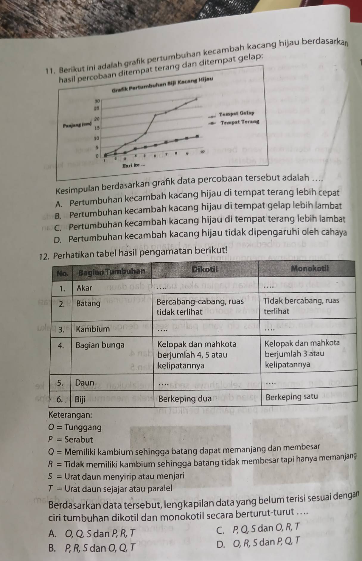 ah grafik pertumbuhan kecambah kacang hijau berdasarka
an ditempat gelap:
Kesimpulan berdasarkan grafik data percobaan tersebut adalah ..,
A. Pertumbuhan kecambah kacang hijau di tempat terang lebih cepat
B. Pertumbuhan kecambah kacang hijau di tempat gelap lebih lambat
C. Pertumbuhan kecambah kacang hijau di tempat terang lebih lambat
D. Pertumbuhan kecambah kacang hijau tidak dipengaruhi oleh cahaya
ikan tabel hasil pengamatan berikut!
O= Tunggang
P= Serabut
Q= Memiliki kambium sehingga batang dapat memanjang dan membesar
R= Tidak memiliki kambium sehingga batang tidak membesar tapi hanya memanjang
S= Urat daun menyirip atau menjari
T= Urat daun sejajar atau paralel
Berdasarkan data tersebut, lengkapilan data yang belum terisi sesuai dengan
ciri tumbuhan dikotil dan monokotil secara berturut-turut ...
A. O, Q, S dan P, R, T C. P, Q, S dan O, R, T
B. P, R, S dan O, Q, T D. O, R, S dan P, Q, T