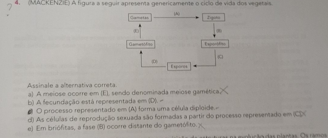 (MACKENZIE) A figura a seguir apresenta genericamente o ciclo de vida dos vegetais.
Assinale a alternativa correta.
a) A meiose ocorre em (E), sendo denominada meiose gamética.
b) A fecundação está representada em (D).
# O processo representado em (A) forma uma célula diploide.
d) As células de reprodução sexuada são formadas a partir do processo representado em (C) X
e) Em briófitas, a fase (B) ocorre distante do gametófito.
iras na evolução das plantas. Os ramos