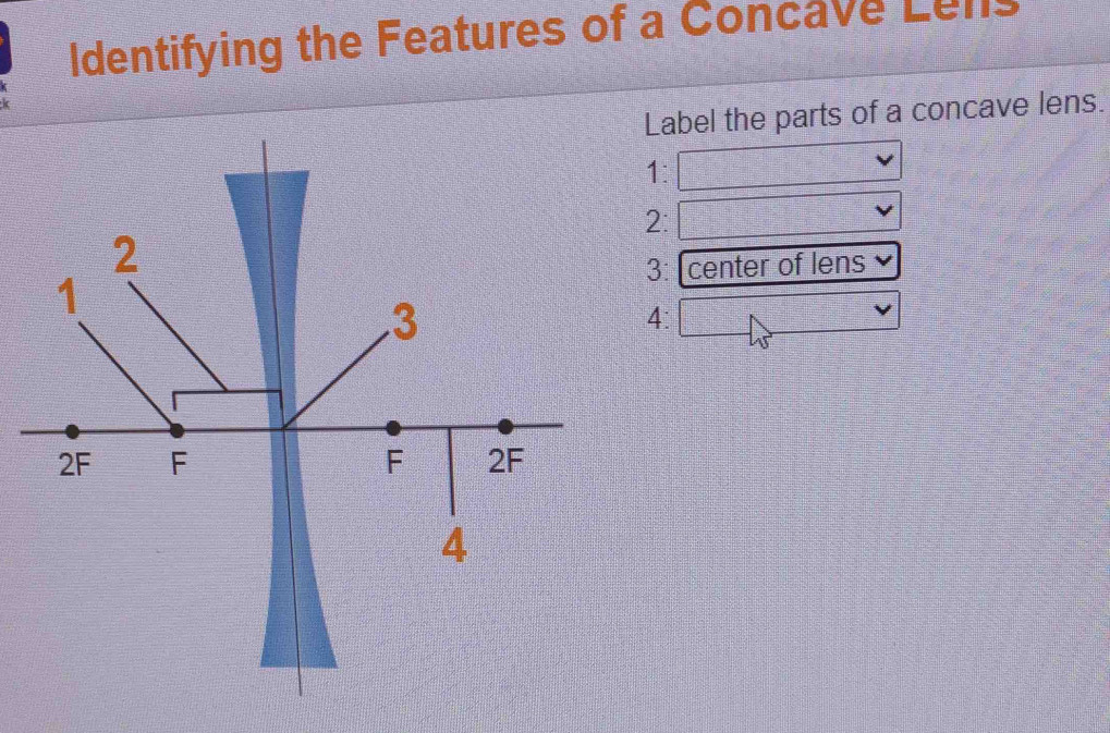 Solved: Identifying the Features of a Concave Lens Label the parts of a ...