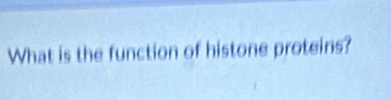 What is the function of histone proteins?