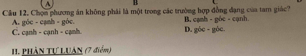 A
B
C
Câu 12. Chọn phương án không phải là một trong các trường hợp đồng dạng của tam giác?
A. góc - cạnh - góc. B. cạnh - góc - cạnh.
C. cạnh - cạnh - cạnh. D. góc - góc.
H. PHÀN Tự LUÂN (7 điểm)