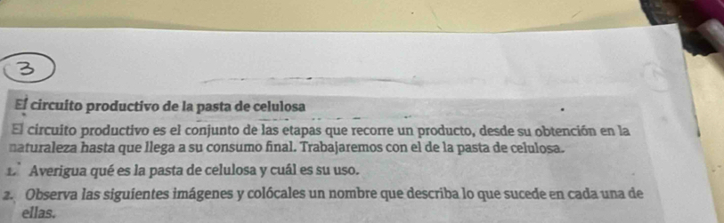 El circuito productivo de la pasta de celulosa 
El circuito productivo es el conjunto de las etapas que recorre un producto, desde su obtención en la 
naturaleza hasta que llega a su consumo final. Trabajaremos con el de la pasta de celulosa. 
L Averigua qué es la pasta de celulosa y cuál es su uso. 
2. Observa las siguientes imágenes y colócales un nombre que describa lo que sucede en cada una de 
ellas.